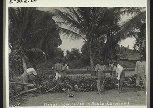 Grading work in Duala (Cameroon)