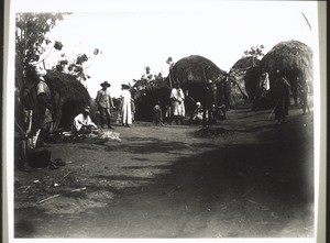 Cameroon. Grassfields. Hausa village near Fumban