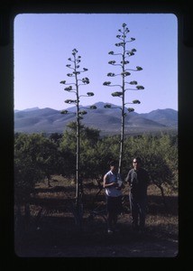 Woman and man, mountains in the background