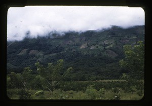 Mountain cultivation