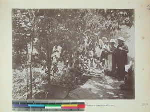 Antsahamanitra garden, Antananarivo, Madagascar, ca.1902