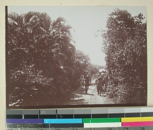 Men transporting goods on lowland near the coast, Madagascar, 1901