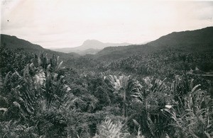 Landscape with ravinela, in Madagascar