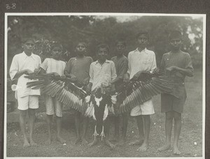 Female vulture shot in Udipi