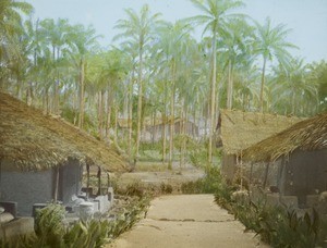 Leper Colony, Huts and Tall Oil Palms, Calabar, Nigeria, ca. 1930-1940