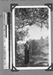 Man ringing a bell, Wittekleibosch, South Africa, 1934