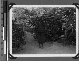 Man carrying wood, Usoke, Unyamwezi, Tanzania