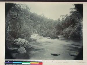 River scenery in Ankerimadinika, Madagascar, 1896