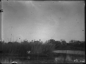 African man on a pirogue, Antioka, Mozambique, ca. 1916-1930