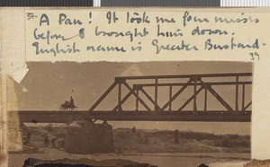 Bridge over river, Dodoma, Tanzania, July-November 1917