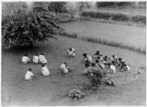 Nordindien, Thaijubari (Mangolunden). Skolepiger på havearbejde