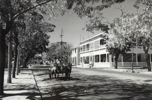 Oxcart, in Madagascar