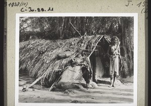 A pariah in front of his hut