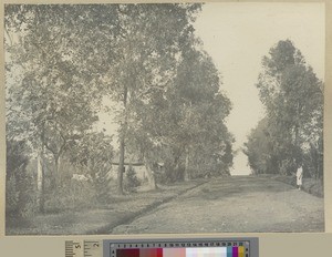 School avenue, Livingstonia, Malawi, ca.1903