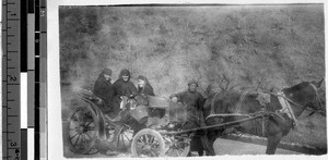 Three Maryknoll Sisters in horse drawn carriage, Fushun, China, March 19, 1931