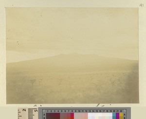 Ngongo mountain, Kikuyu, Kenya, ca.1908-1912