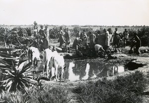 Water duty, in Madagascar