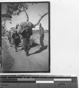 Women carrying their wares to market in China, 1943