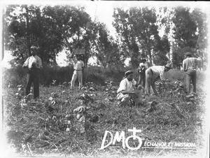 Students planting trees, Lemana, South Africa, ca. 1906-1915