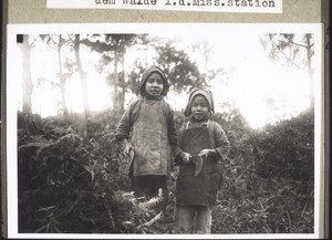 Two christian children from Nyenhang cutting grass which will be dried and used for burning