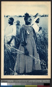 Women with sickles in the field, Lesotho, ca.1900-1930