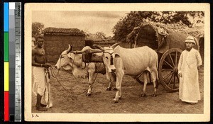 Conveyence for a journey, India, ca.1920-1940