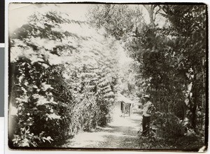 Garden arbor at the mission station Harmshusen, Adis Abeba, Ethiopia, ca.1934-1938