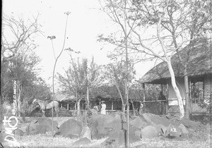 Buildings in Valdezia, South Africa, ca. 1896-1911