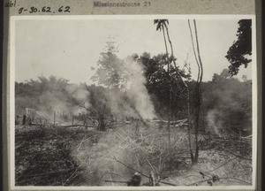 Burning down a patch of woodland to prepare a field for dry rice