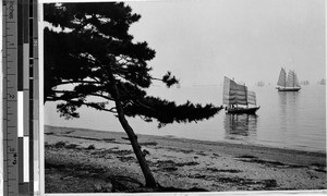 Japanese sailing ships on the water, Japan, ca. 1920-1940