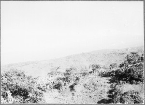 Mount Kibo, Tanzania, Africa, ca. 1901-1910