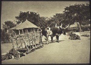 Sambesischer Ochsenkarren (Süd-Afrika)