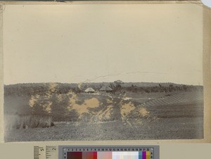 Agricultural land, Livingstonia, Malawi, ca.1903