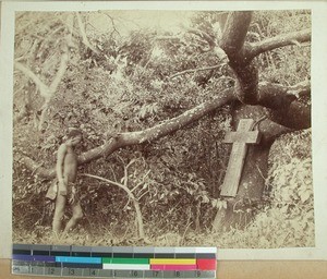 Grave with a wooden cross, South Africa