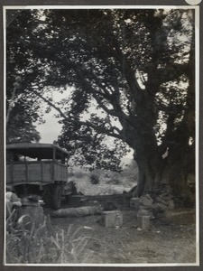 Truck and baggage next to a tree, Tanzania, ca.1929-1940