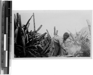 Cooking the love-feast, South Africa East, 1929