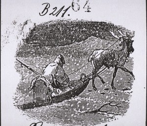 Lapland man with reindeer sledge