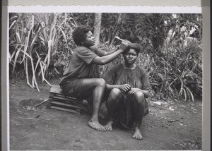 A grassfields-woman having her hair combed