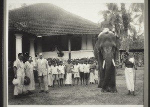 Elefant auf Besuch i. d. Anstalt Parapperi