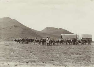 Wagons and harnessings in the mountains