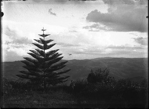 Landscape near Lemana, Limpopo, South Africa, ca. 1906-1907