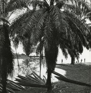 Backwater for girls, in Lambarene, Gabon