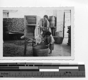 Orphans winnowing rice at Luoding, China, 1936