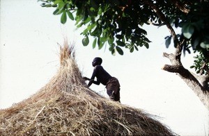 Laying of roof, Ngaoundéré, Adamaoua, Cameroon, 1953-1968