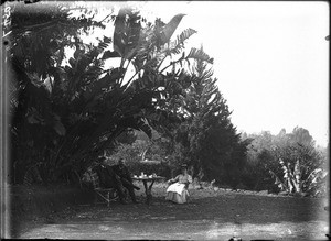 Group of Swiss missionaries, Lemana, Limpopo, South Africa, ca. 1906-1907