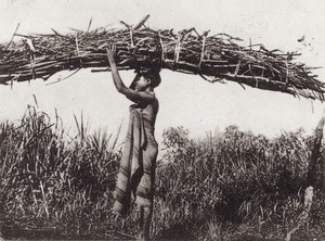 Woman carrying firewood in Bamum