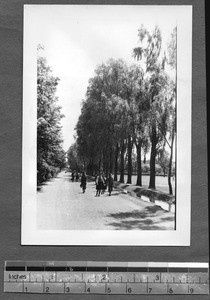 People walking on campus of West China Union University, Chengdu, Sichuan, China, ca.1939