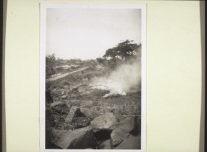 Mangoase: cocoa crisis March 1938, burning cocoa