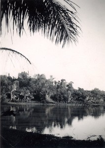 Lake of Ampijaroa, in Madagascar