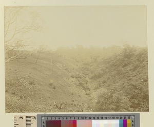Landscape, Kikuyu, Kenya, ca.1901